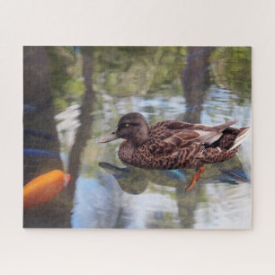 Puzzle Duck Pond