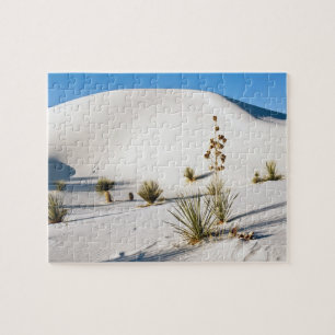 Puzzle Dunes transversales et Yucca à feuilles de savon