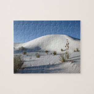 Puzzle Dunes transversales et Yucca à feuilles de savon