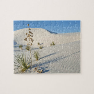 Puzzle Dunes transversales, Yucca, ombres