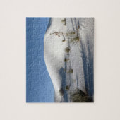 Puzzle Dunes transverses et soaptree Yucca (Vertical)