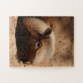 Puzzle Dwarf Armadillo Dit Bonjour (Horizontal)