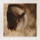 Puzzle Dwarf Armadillo Dit Bonjour (Horizontal)
