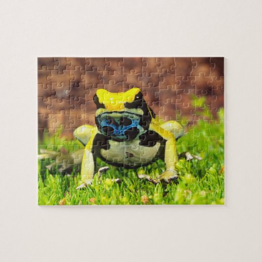 Puzzle Dyeing Poison Frog, Dendrobates tinctorius, (Horizontal)