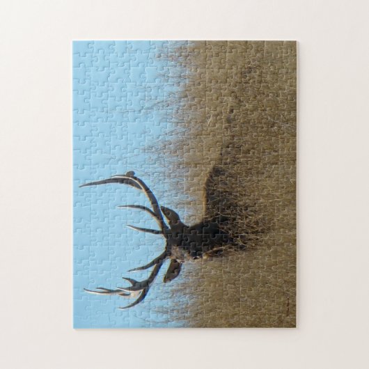 Puzzle E26 Bull Elk dans les mauvaises herbes (Vertical)
