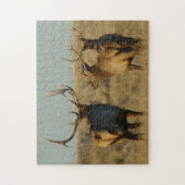 Puzzle E28 Bull Elk à pied (Vertical)