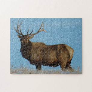 Puzzle E62 casse-tête Bull Elk Sky Lined.