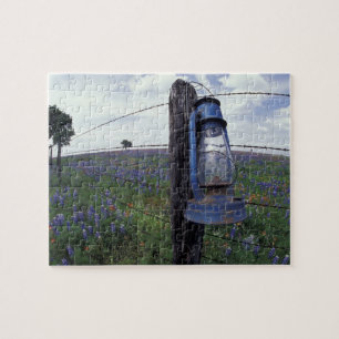 Puzzle É.-U., États-Unis, Texas, Llano, Lanterne bleue, C
