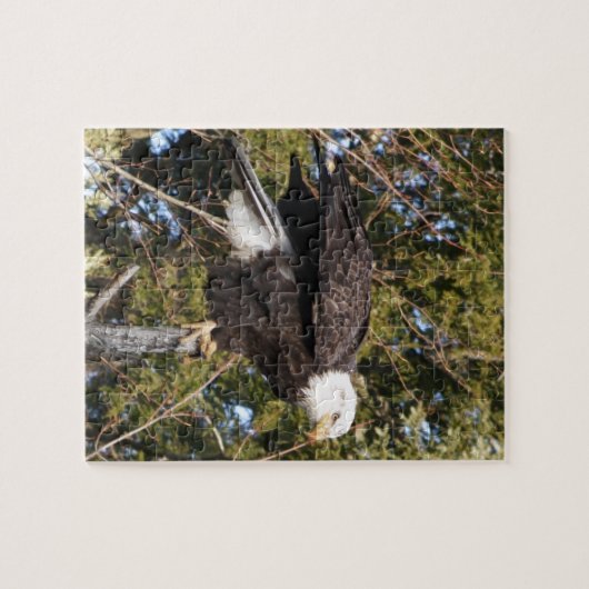 Puzzle Eagle 7 (Horizontal)