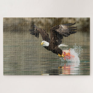 Puzzle Eagle chauve explosif