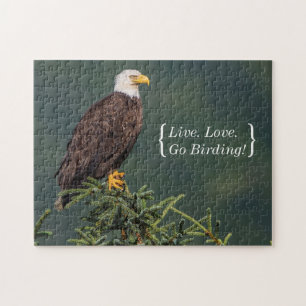 Puzzle Eagle chauve majestueux