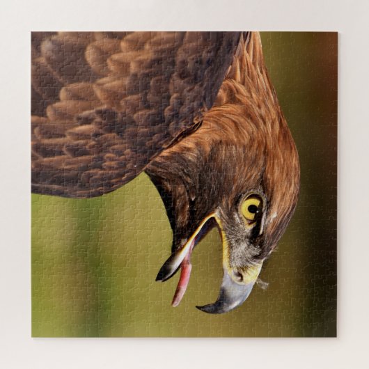 Puzzle Eagle Jigsaw (Horizontal)