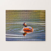 Puzzle Eared Grebe Montana. (Horizontal)