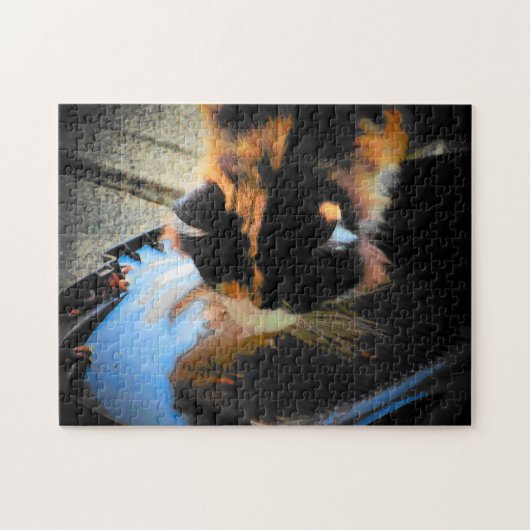 Puzzle Eau pluviale de Calico (Horizontal)