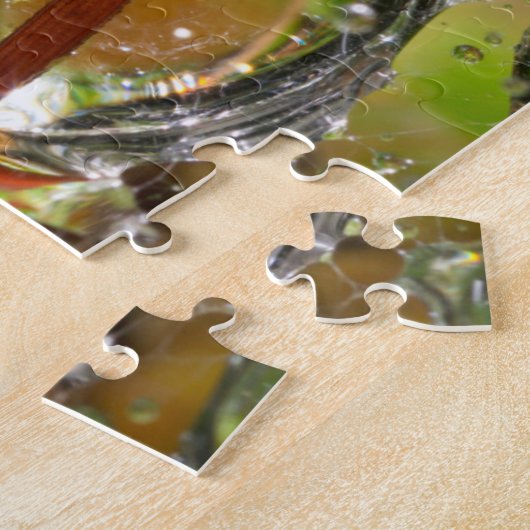 Puzzle Eau sur les graines de dandelion, CA (Côté)