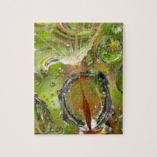 Puzzle Eau sur les graines de dandelion, CA (Vertical)