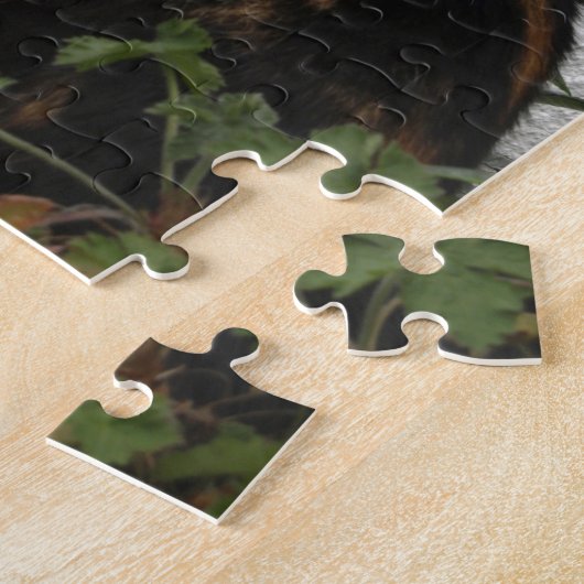 Puzzle Écaille et chat blanc (Côté)