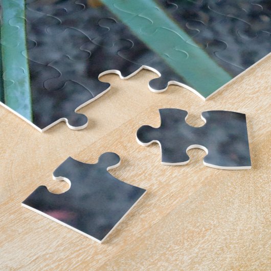 Puzzle Écarlate timide IBIS (Côté)