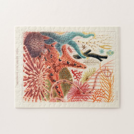 Puzzle Echinodermes australiens de la Grande Barrière de  (Horizontal)
