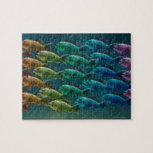 Puzzle École de basse de la Mer Noire dans les couleurs