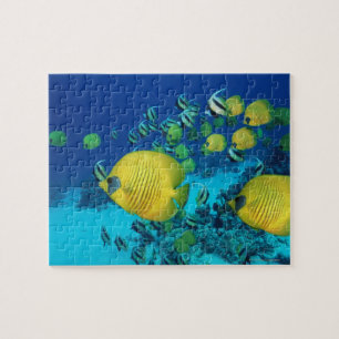 Puzzle École de la natation de poissons de papillon sur