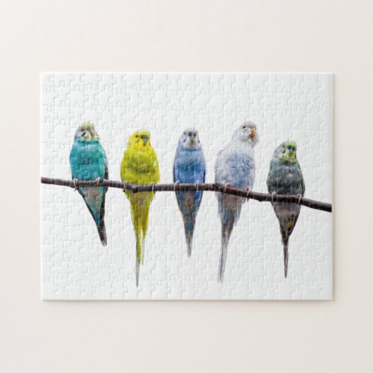 Puzzle Économies (Horizontal)