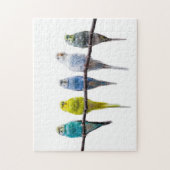 Puzzle Économies (Vertical)