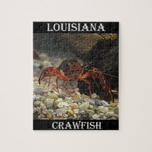 Puzzle Écrevisses de la Louisiane