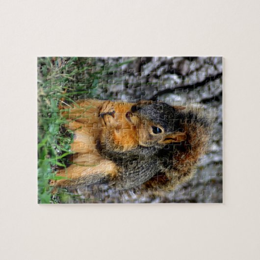 Puzzle Écureuil (Horizontal)