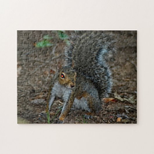 Puzzle Écureuil aux yeux brillants (Horizontal)