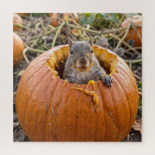 Puzzle Écureuil dans une citrouille d'automne