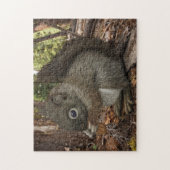 Puzzle Écureuil de bébé (Vertical)