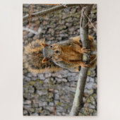 Puzzle Écureuil de renard (Vertical)