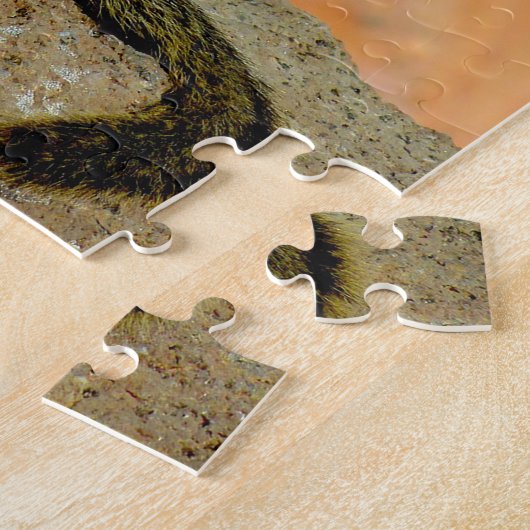 Puzzle Écureuil de sol doré. (Côté)