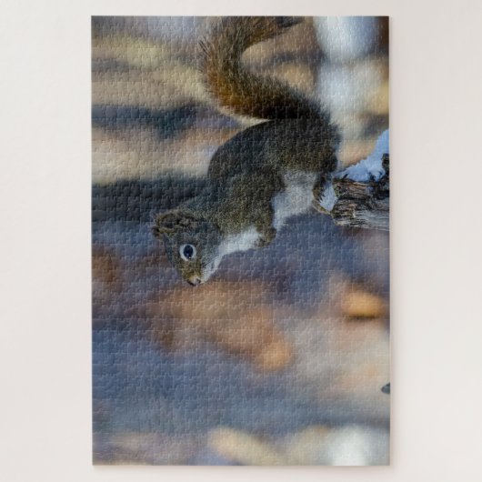 Puzzle Écureuil d'hiver, animal Brown, photo canadienne (Vertical)