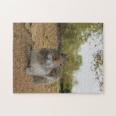 Puzzle Écureuil gris dans Hyde Park (Horizontal)