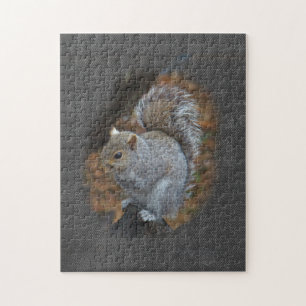 Puzzle Écureuil gris de l'Est - Sciurus carolinensis
