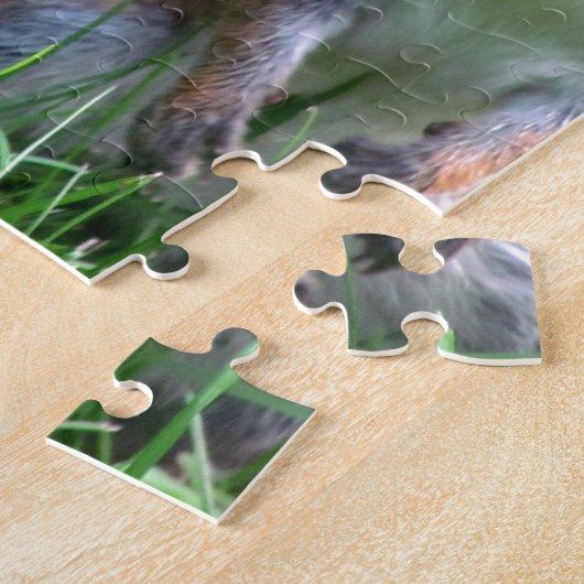 Puzzle Écureuil gris mignon (Côté)