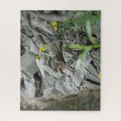 Puzzle Écureuil le long d'une crique (Vertical)