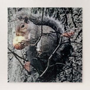 Puzzle Écureuil Mangeant Une Pomme