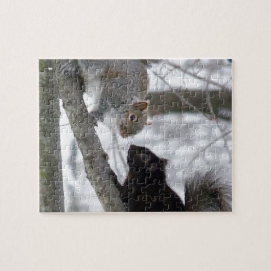 Puzzle Écureuil noir et gris (Horizontal)