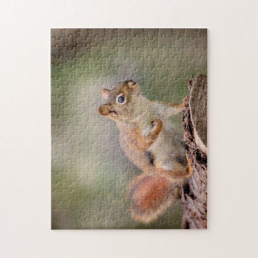 Puzzle Écureuil rouge (Vertical)