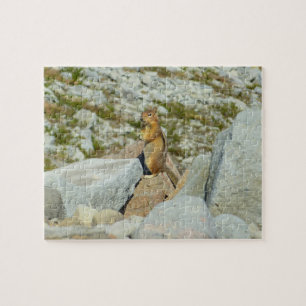 Puzzle Écureuil terrestre à manteau doré au mont Rainier