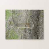 Puzzle Écureuil terrestre de Richardson Gopher (Horizontal)