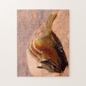 Puzzle Écureuil Yellowstone. (Vertical)