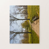 Puzzle Effet Couleur de l'eau. Central Park New York. (Vertical)