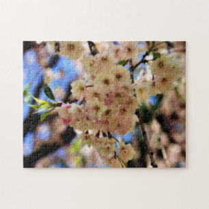 Puzzle Effet Orton Fleur Fleur Rose Spring Blossoms