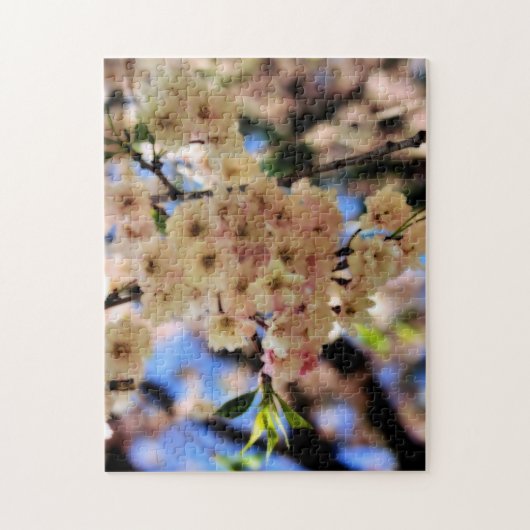 Puzzle Effet Orton Fleur Fleur Rose Spring Blossoms (Vertical)