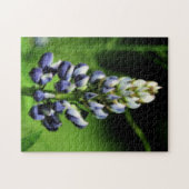 Puzzle Effet Orton simple Lupine Bleue (Horizontal)
