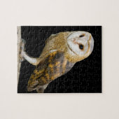 Puzzle Effraie des clochers (Horizontal)
